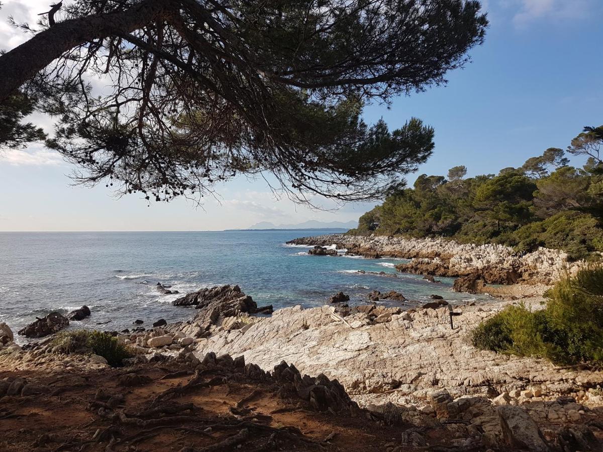 Penthouse Antibes Apartment Dış mekan fotoğraf